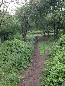 Sarıyer Rumeli Fenerinde Satılık Arazi