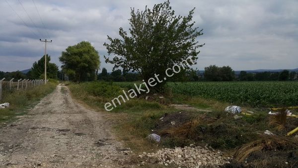 Eski Balıkesir Edremit Yoluna Cepheli Kiralık Tarla