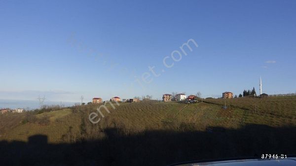 Kamer Gayrimenkul Den Söğütlü De 24 Dönüm Satılık İmarlı Arazi