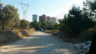 Ender Azim Emlaktan Satılık Arsa