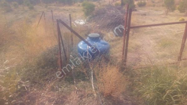 Kemalpaşa Nazarköy Tarafında 2500m2 Orman İçinde Arazi