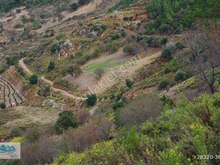 Anamur Satılık Tarla 23 Dönüm Uçarı