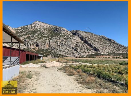 18 Dönüm Besihane Yatırımlık Korkuteli Taşkesiği Mahallesi