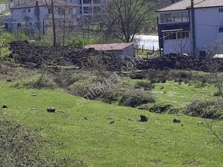 Ereğli Güncel Emlak Tarla Satıyor