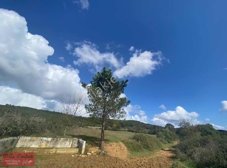 Vedat Ergün Fırsat Sunar Hergün