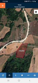 Bilecik Pazaryeri Satılık Tarla Hayvancılığa Uygun