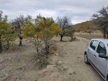 Sağlık Kuyubaşında Kadastro Yolu Açık Makul Fiyata Satılık Arsa