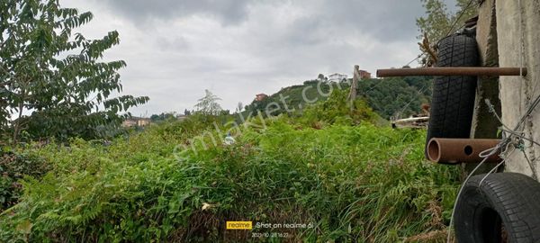 Çayeli Limankoyde Satılık 8 Dönüm Deniz Manzaralı Arazi
