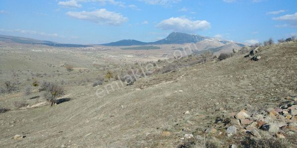 Sağlıkda Hayvancılık-fidancılık İçin Uygun Makul Fiyatlı Arazi