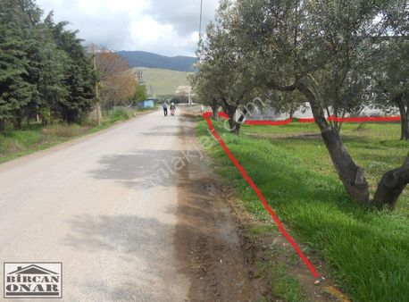 Aliağa-helvacı'da İzmir Ana Yolu'na Yakın,tali Yol Cepheli Acil Satılık Arazi