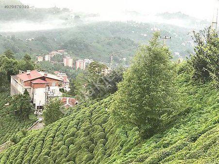Ekmekciler Mahallesi Satılık Arazi