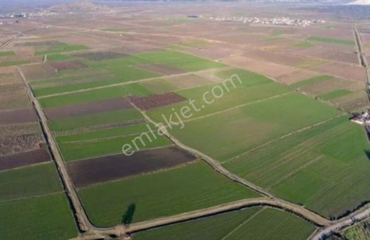Antakya Yeşilova'da Yatırımlık Satılık Elverişli Tarım Arazi