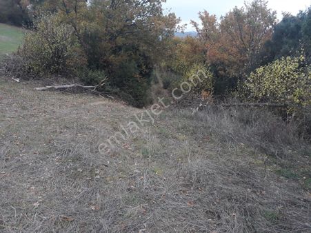 Yaylalar Köyünde 8.200m2 Satılık Tarla