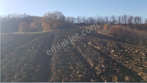 Kocaeli Karamürsel Semetler Doğa İçinde 7.675 M² Satılık Tarla