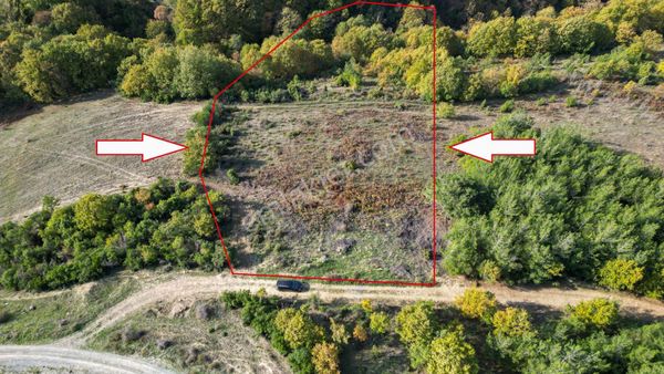 Kocaeli Karamürsel Kızderbent Yatırımlık 4709 M2 Satılık Tarla