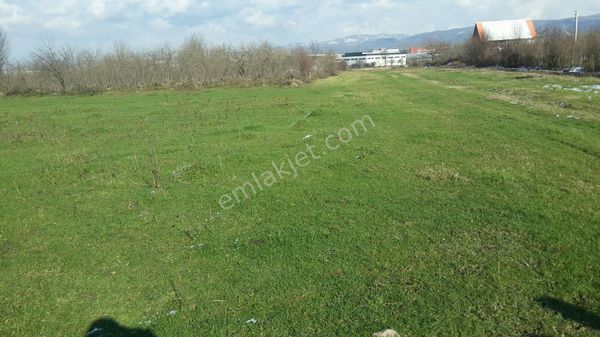 Özen Emlak Dan Satılı Tarla