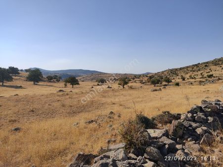 Sağlık Da Müstakil Tapulu Yakında Su Bulunan Makul Fiyatlı Arazi