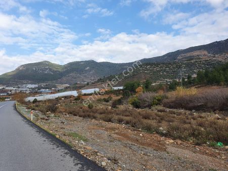 Anchor Gayrimenkul'den Gazipaşa'da Ana Yola Cepheli Bitişik 2 Parsel