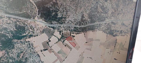 Muğla Merkez Akkaya Da 3113.m2 Tarla