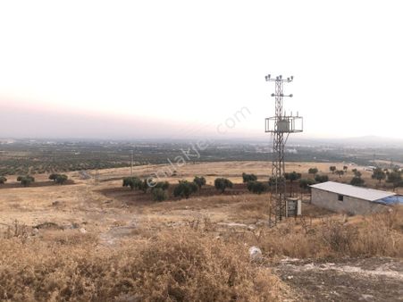 Sb Gayrimenkul'den Kilis Merkez Küskünkıran Da Yüksek Konumlu Yer