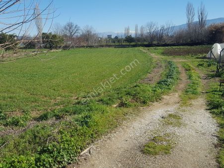 Yasin Emlaktan Satılık Bahçe Arsa Nitelikli