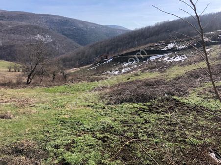 Karamürsel Akpınar Köyü 37009 M2 Tarla Satılık Uzmanlar'dan