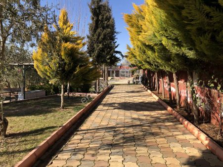 Sb Gayrimenkul'den Serincede Satlık Etrafı Çevrili Bag