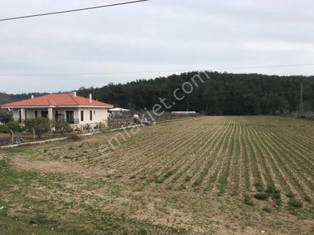 Menderes Çile Mahallesin'de Satılık Tarla Meşe Emlak'tan
