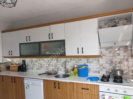 Ahmetbeyli Çile De Satılık Zeytinlik