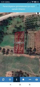 Bursa İznik Hisardere Mah Satılık Meyvelik