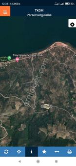 Bursa İznik Göllüce Mah Satılık Zeytinlik