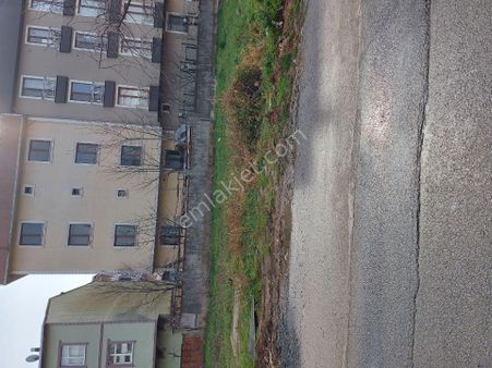 Ak İnşaat Satılık 250 Metre Arsa