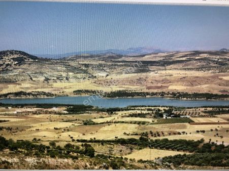 Sami Bakır Emlak Dan Kabarcık (budak) Gölet Manzaralı Arazi