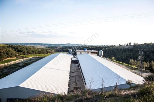 Adana Karaisalı Bekirli Mh 12.300m2 Çiftlik