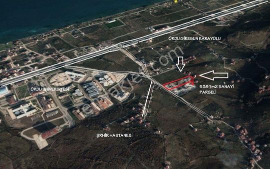 Ordu Şehir Hastanesi Yoluna Cepheli Satılık Sanayi Parseli