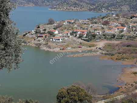 Serçin Köyü Sökede Satılık 745 M2 Zeytinlik