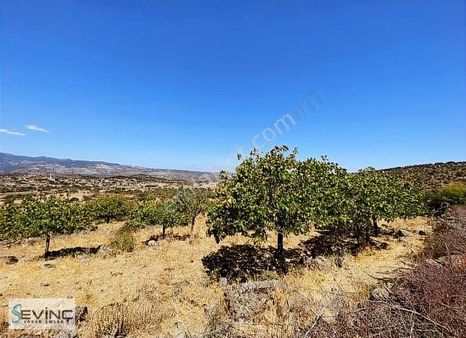 İzmir Menemen Çaltı Mah. Satılık Tarla