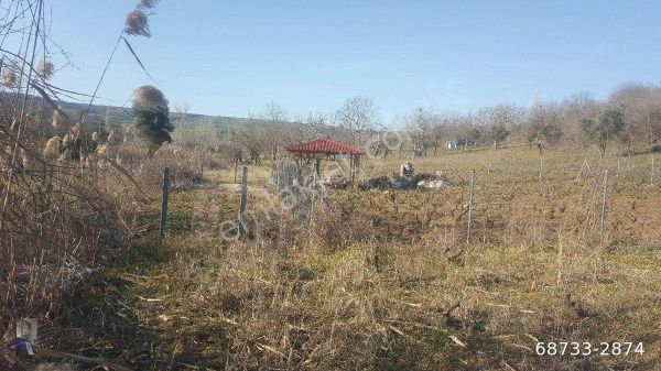 Tekirdağ Süleymanpaşa Gayrimenkulden Satılık Bağ Arsa Karadenizm