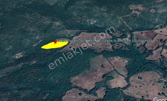 40.820 Dönüm Orman Arazisi İçinde 6.500 M Kare Satılık Tarla