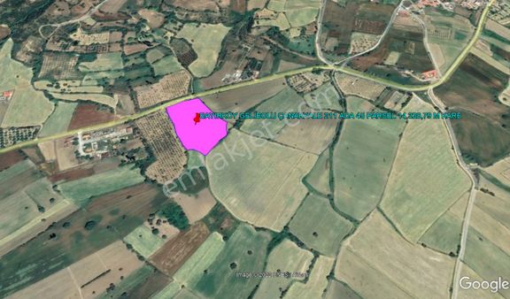 Gelibolu Bayırköy De Asfalt Cephe 14.328,79 M Kare Tarla