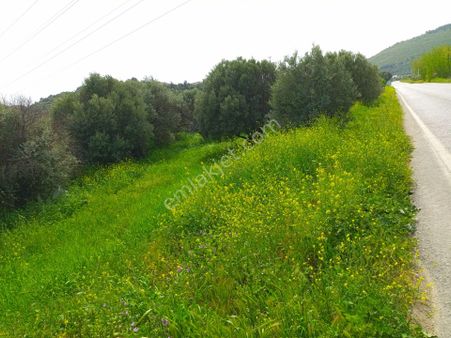 Rose Emlak'tan Satılıkdeniz Ana Yola Sıfır Kupon Arazi