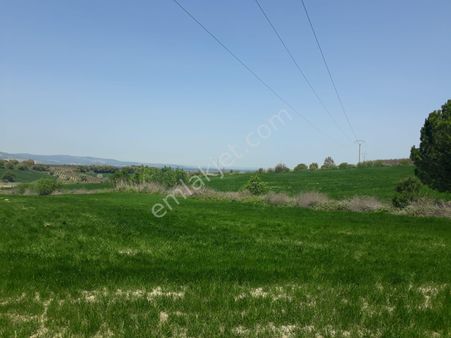 Kangırlıda Full Deniz Manzaralı 26857m2 Satılık Tarla