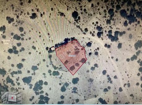 Yozgat Merkez Divanlıda Satılık 2000m2 (araç Takaslı) Arazi