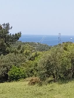 Rose Emlak 'tan Satılık Kupon Arazi