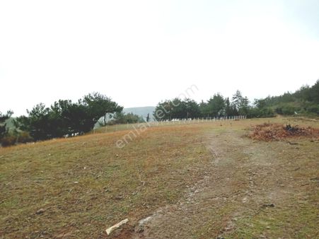 Belen İlçesi Müftüler Köyünde Yan Yana İki Adet Satılık Parsel