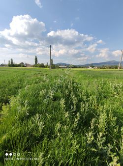 Özpınar ,dan Kesecik Mah. Satılık Arsalar 5 Tane Yanyana Toplam 2416 M2
