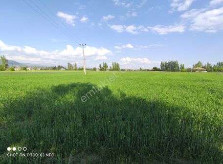 Konya Seydişehir Kesecik Mah. Satılık Arsalar 5 Tane Yanyana 2416 M2