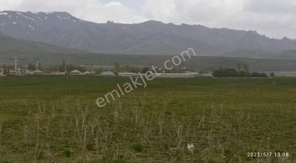 48 Dönüm Tarla Müstakil Çiflik İçin