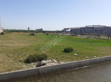 Satlık Arsa E / 5 Cepeli 6250m2 Tek Tapu Yola Cepesi 115m2