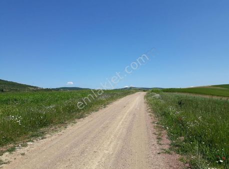 Derince Karagöllü De Yatırımlık 2 Dönüm Müstakil Tapu Yolu Açılmış Manzaralı Yatırımlık Arsa